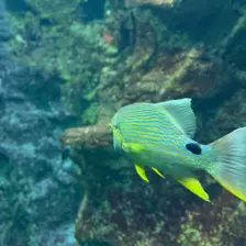 Séjour ✨ Un voyage ludique et culturel au cœur de la Normandie ✨ - Galerie La cité de la mer / deuxième jour