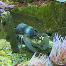 Séjour ✨ Un voyage ludique et culturel au cœur de la Normandie ✨ - Galerie La cité de la mer / deuxième jour