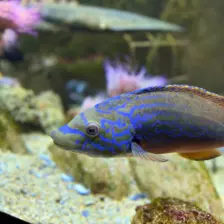 Séjour ✨ Un voyage ludique et culturel au cœur de la Normandie ✨ - Galerie La cité de la mer / deuxième jour