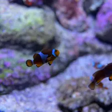 Séjour ✨ Un voyage ludique et culturel au cœur de la Normandie ✨ - Galerie La cité de la mer / deuxième jour