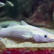 Séjour ✨ Un voyage ludique et culturel au cœur de la Normandie ✨ - Galerie La cité de la mer / deuxième jour