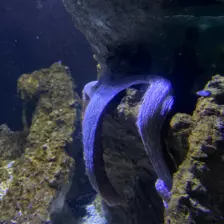 Séjour ✨ Un voyage ludique et culturel au cœur de la Normandie ✨ - Galerie La cité de la mer / deuxième jour