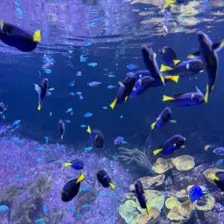 Séjour ✨ Un voyage ludique et culturel au cœur de la Normandie ✨ - Galerie La cité de la mer / deuxième jour