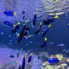 Séjour ✨ Un voyage ludique et culturel au cœur de la Normandie ✨ - Galerie La cité de la mer / deuxième jour