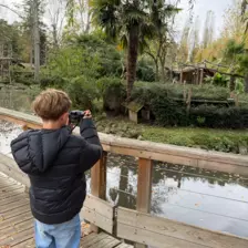 Séjour ✨ Un voyage ludique et culturel au cœur de la Normandie ✨ - Galerie Zoo de Beauval / jour 5