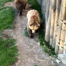 Séjour ✨ Un voyage ludique et culturel au cœur de la Normandie ✨ - Galerie Zoo de Beauval / jour 5