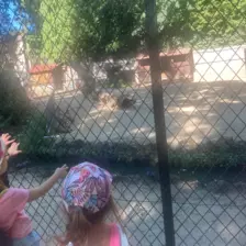 Centre de Siaugues Sainte Marie - Vacances - Galerie semaine du 1 au 5 aout "