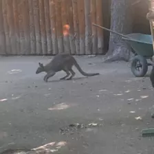 Centre de Siaugues Sainte Marie - Vacances - Galerie semaine du 1 au 5 aout "