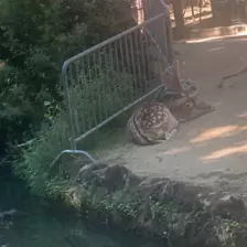 Centre de Siaugues Sainte Marie - Vacances - Galerie semaine du 1 au 5 aout "