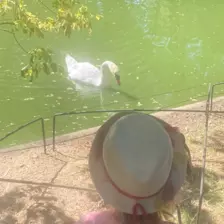 Centre de Siaugues Sainte Marie - Vacances - Galerie semaine du 1 au 5 aout "