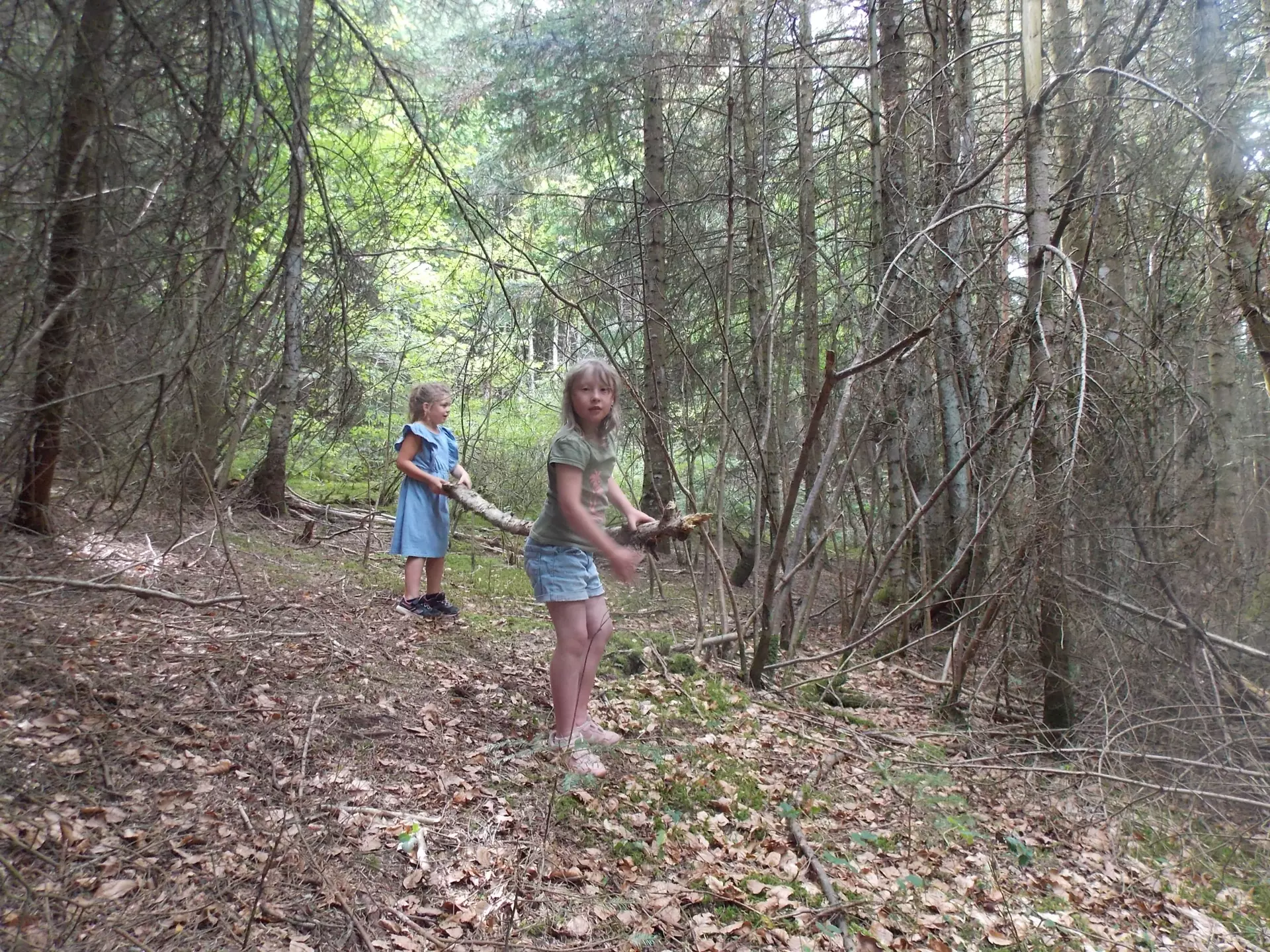 Centre de Siaugues Sainte Marie - Vacances - Galerie semaine du 25 au 29 juillet