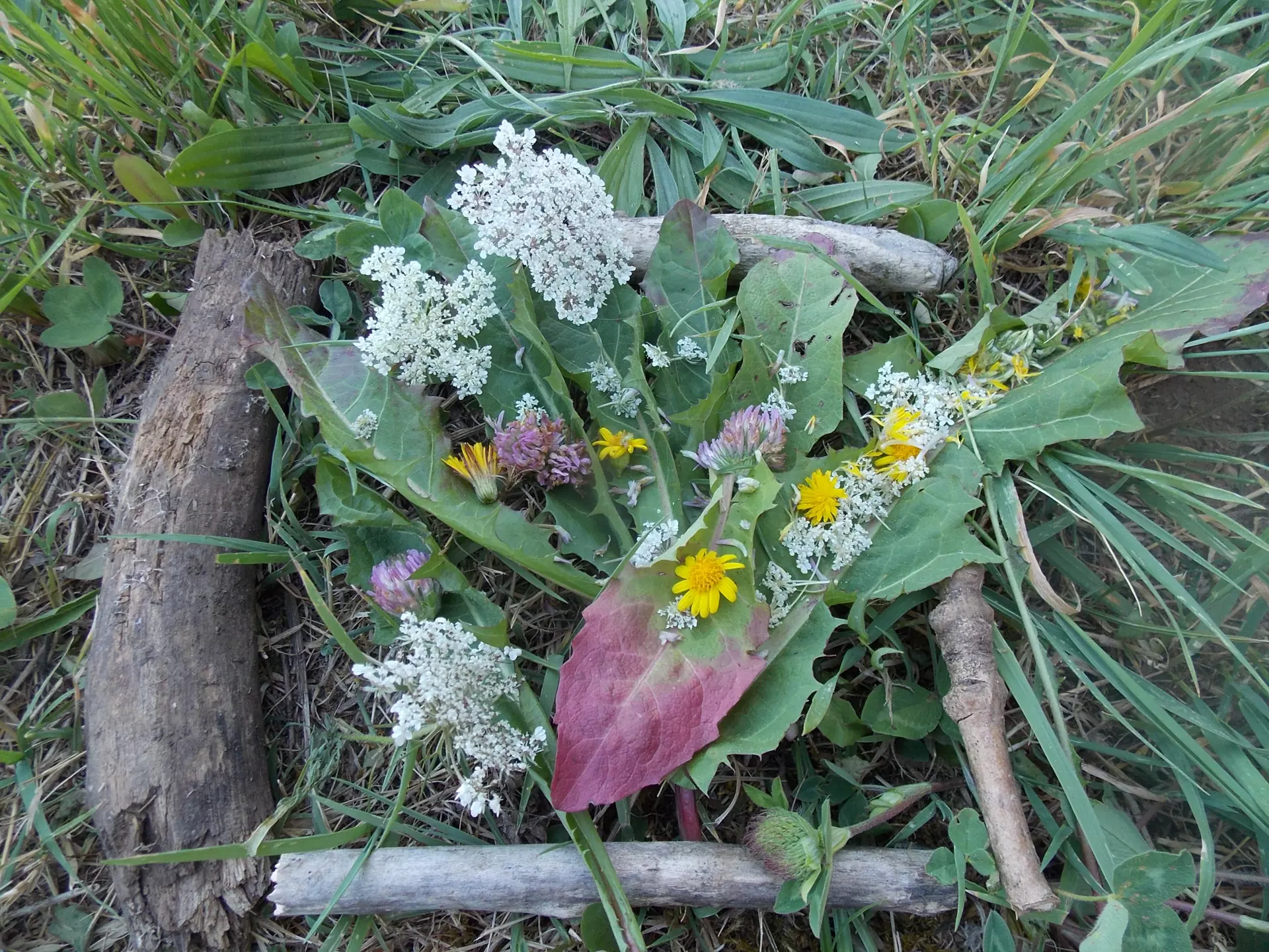 Centre de Siaugues Sainte Marie - Vacances - Galerie semaine du 1 au 5 aout "