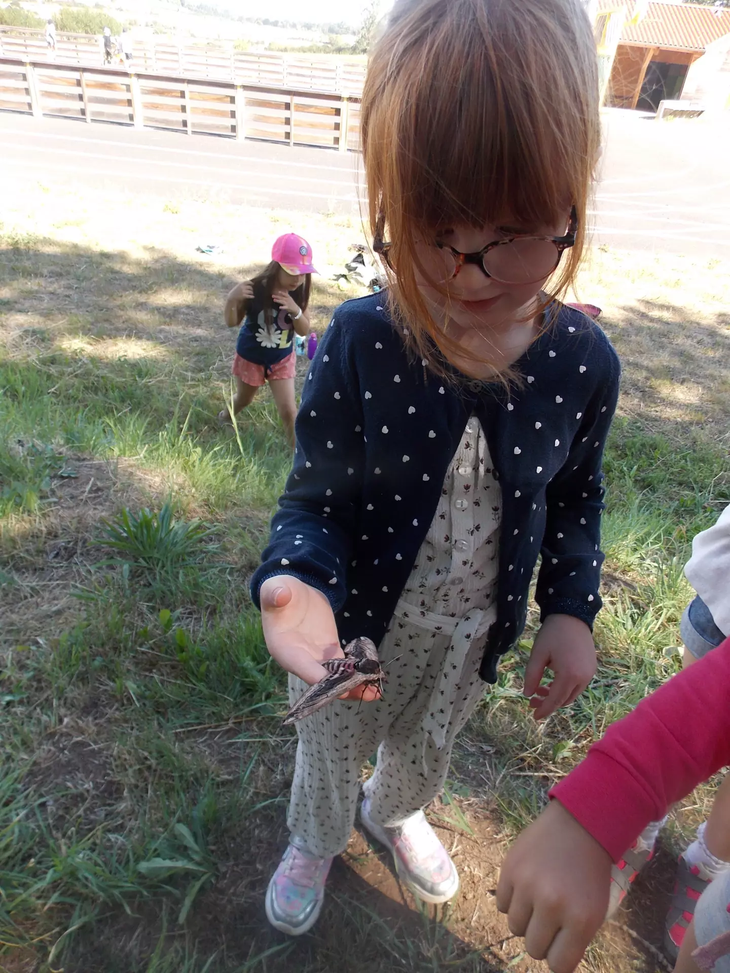 Centre de Siaugues Sainte Marie - Vacances - Galerie semaine du 25 au 29 juillet