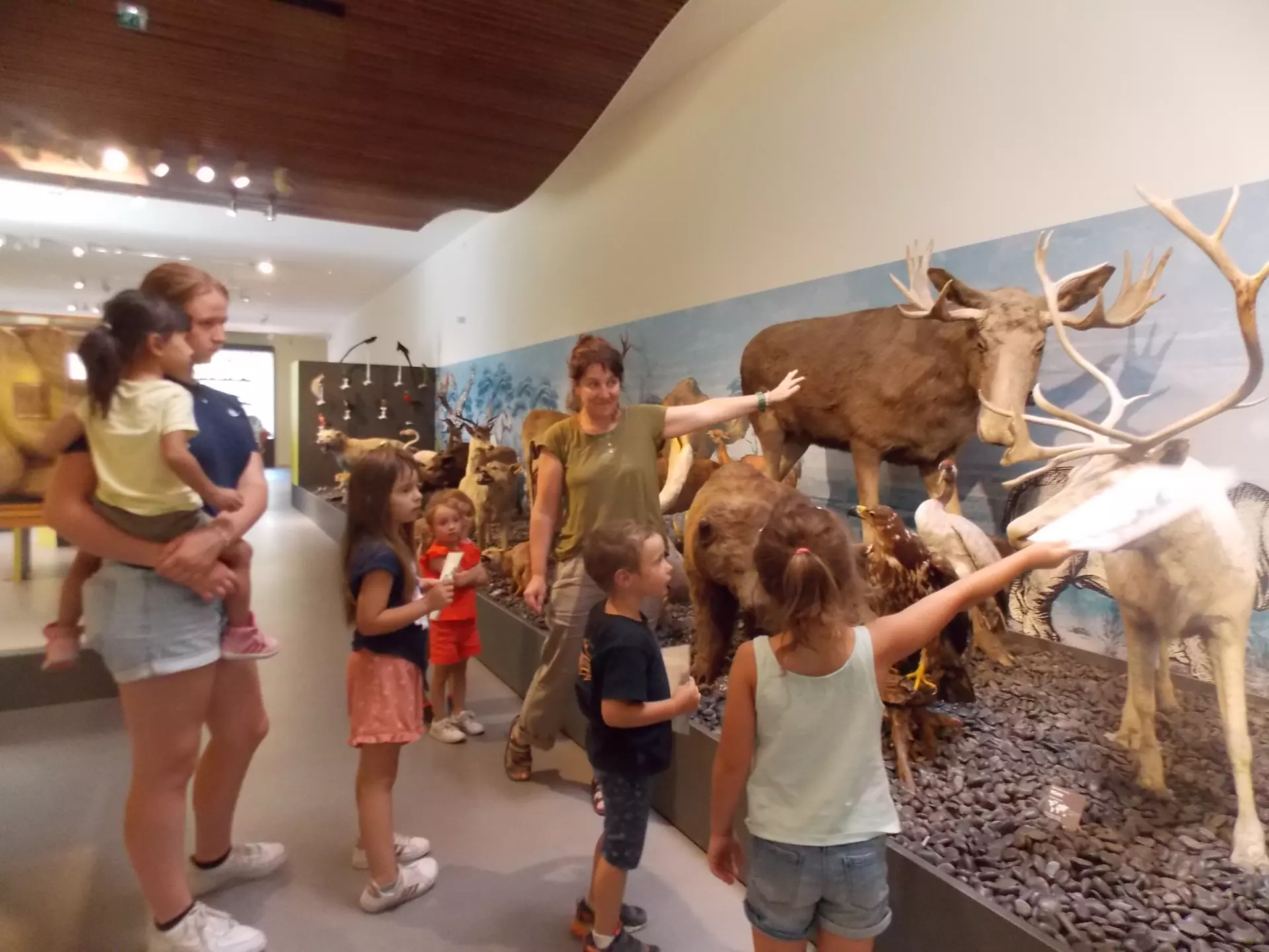 Centre de Siaugues Sainte Marie - Vacances - Galerie semaine du 1 au 5 aout "