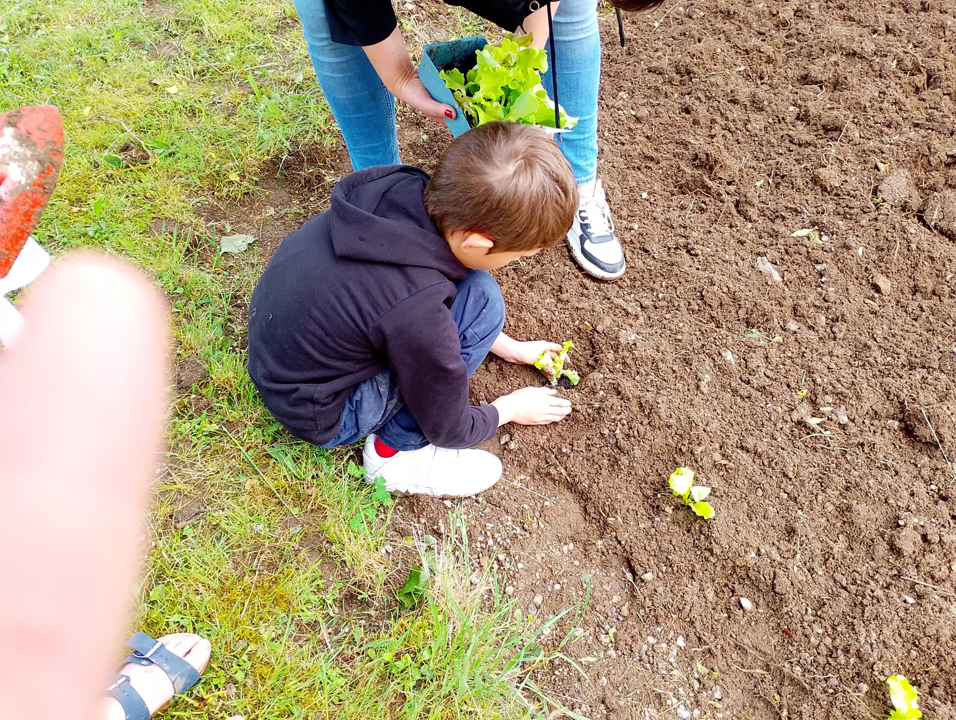 Centre de Saugues - Mercredis - Galerie Mercredis 2025