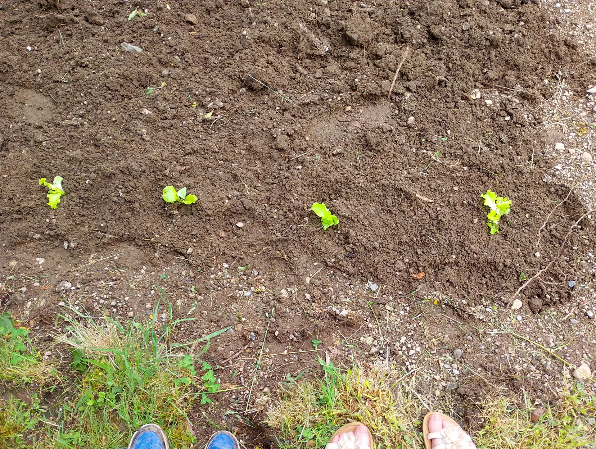 Centre de Saugues - Mercredis - Galerie Mercredis 2025