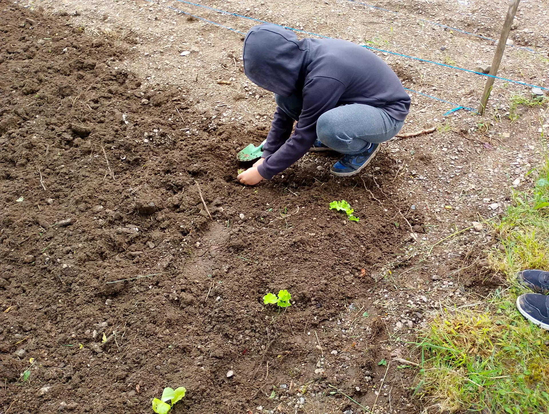 Centre de Saugues - Mercredis - Galerie Mercredis 2025