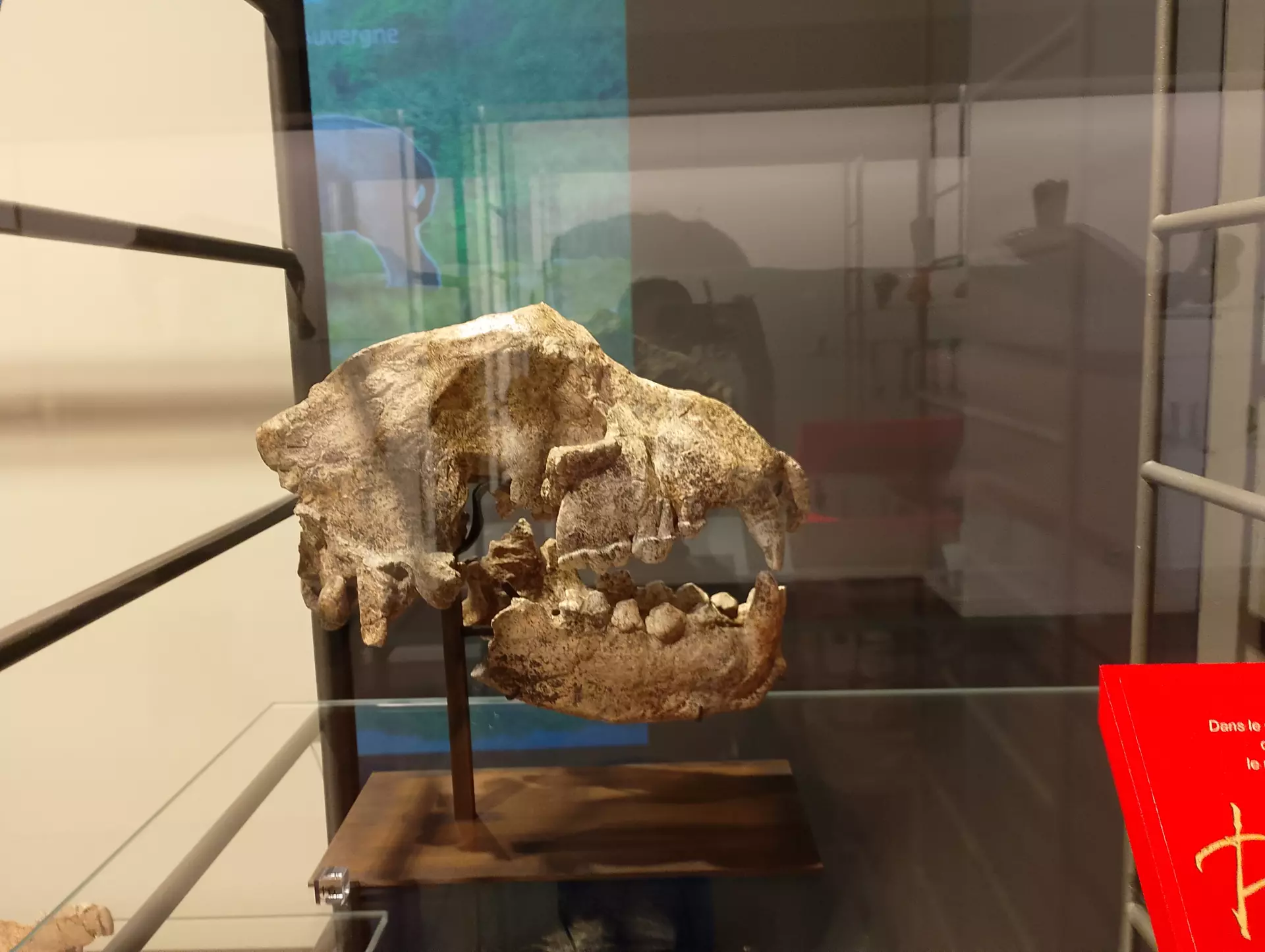 Centre de Saugues - Vacances - Galerie Vacances été 2025