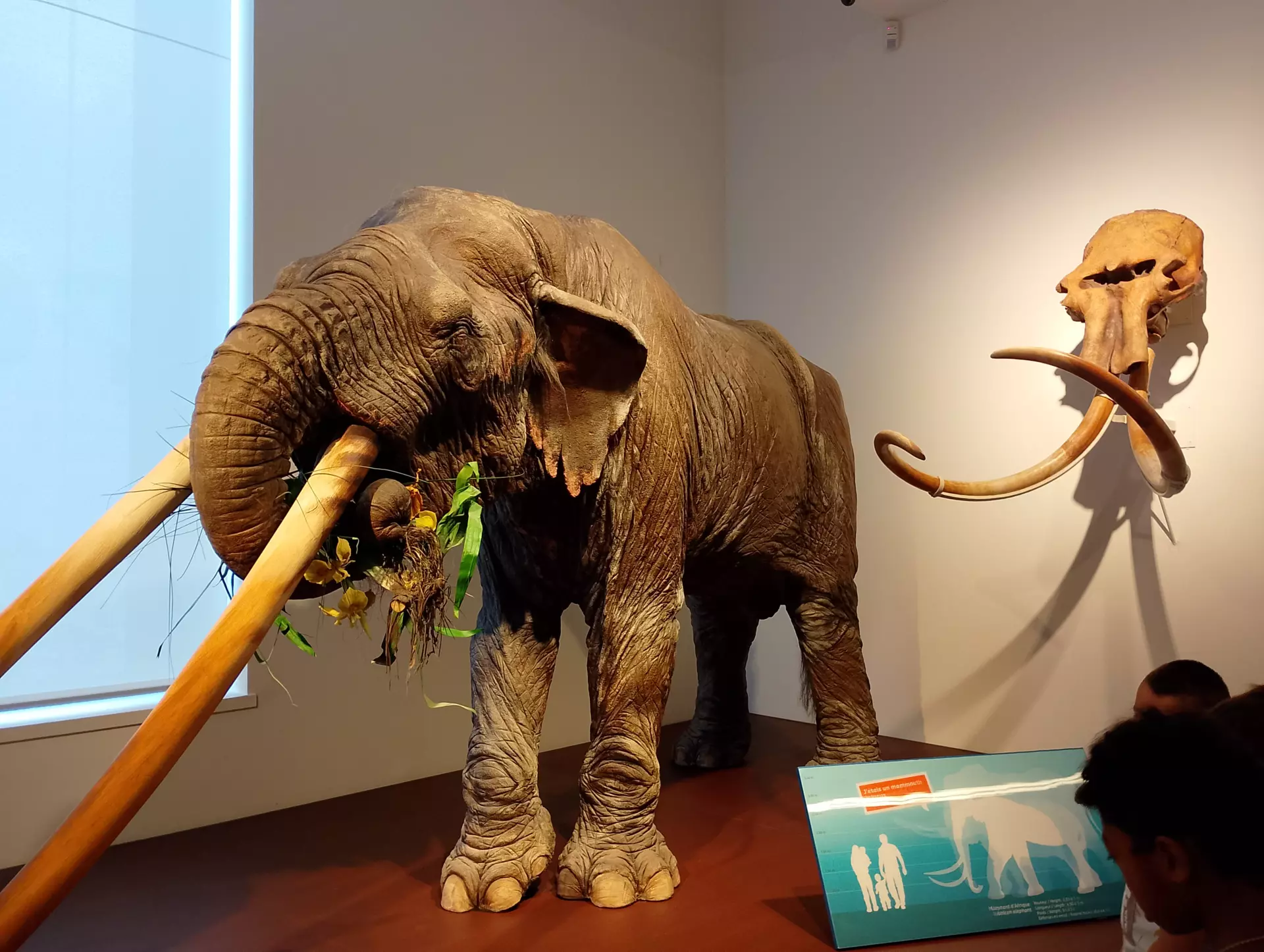 Centre de Saugues - Vacances - Galerie Vacances été 2025