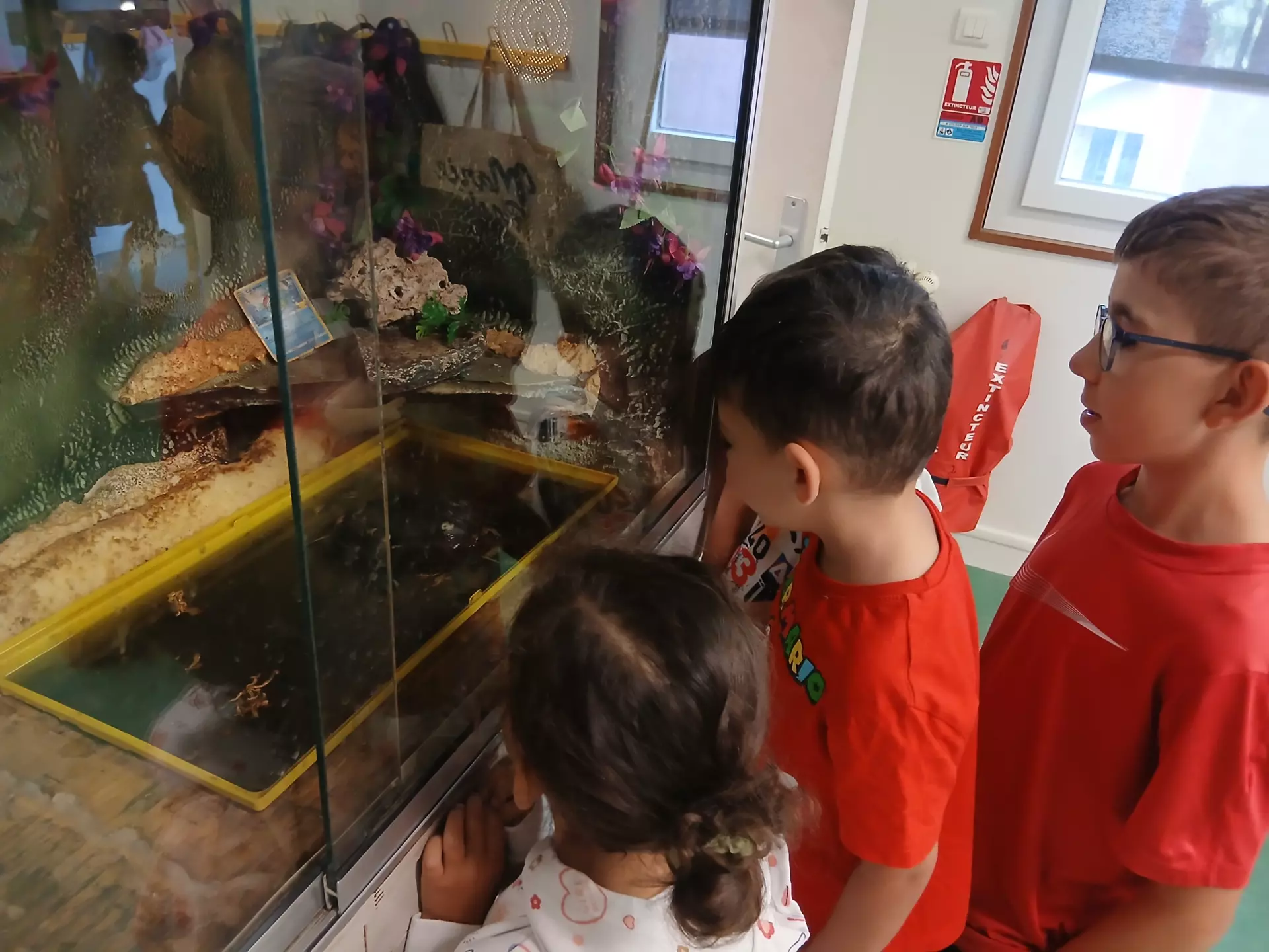 Centre de Vals Prés le Puy - Vacances - Galerie Été 2025