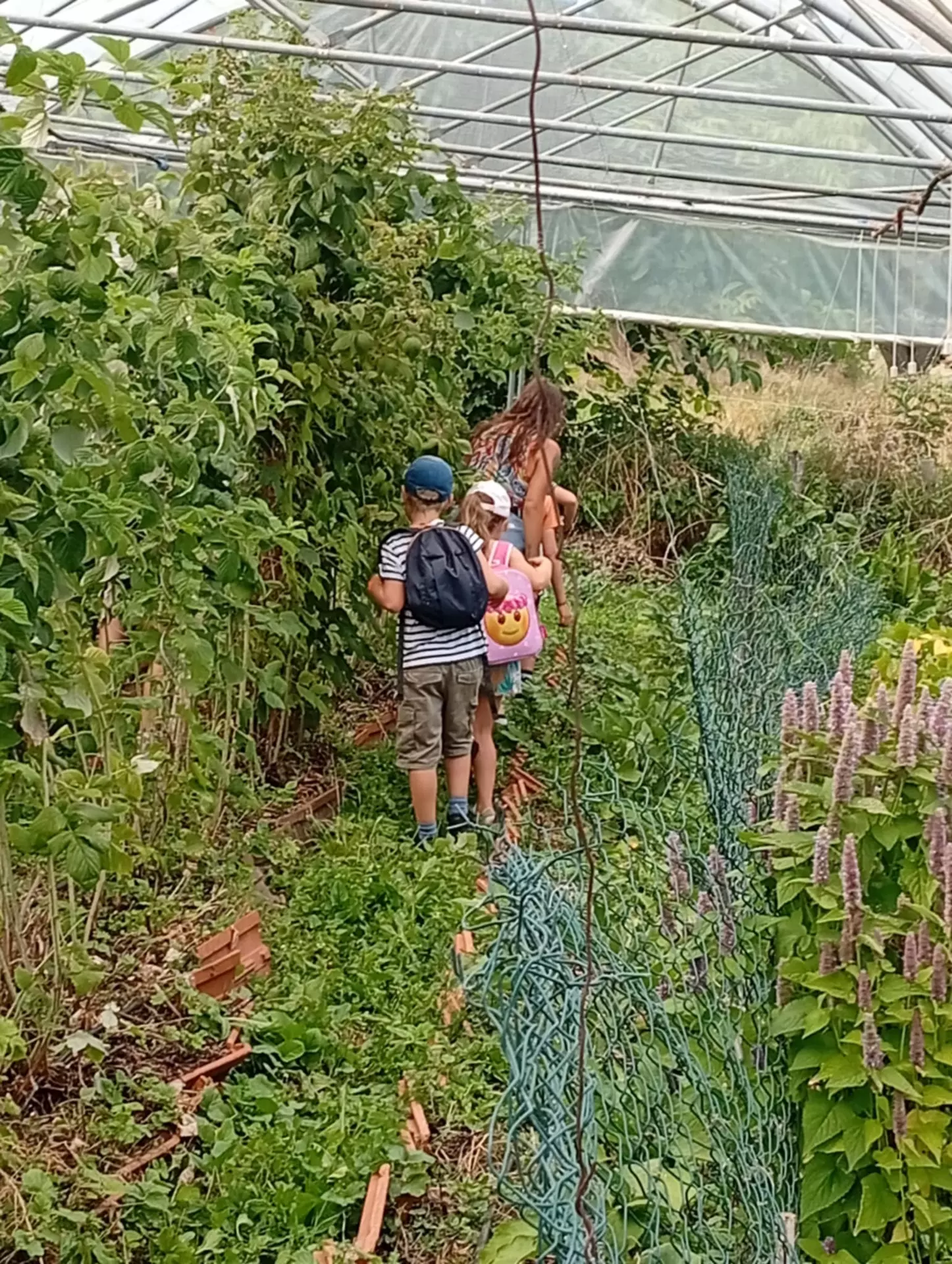 Centre de Vals Prés le Puy - Vacances - Galerie Séjour de la Terre à l'assiette