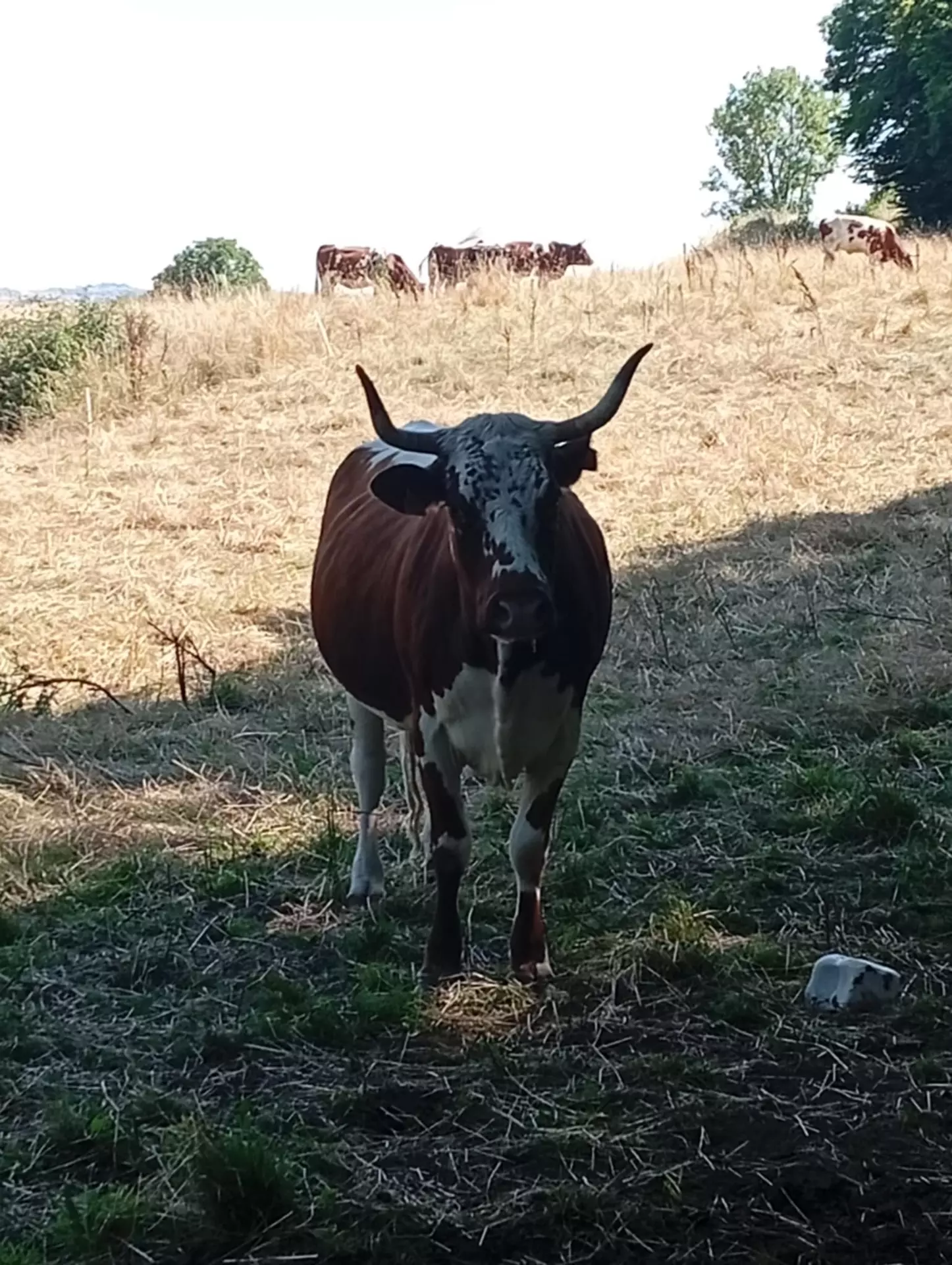 Centre de Vals Prés le Puy - Vacances - Galerie Séjour de la Terre à l'assiette