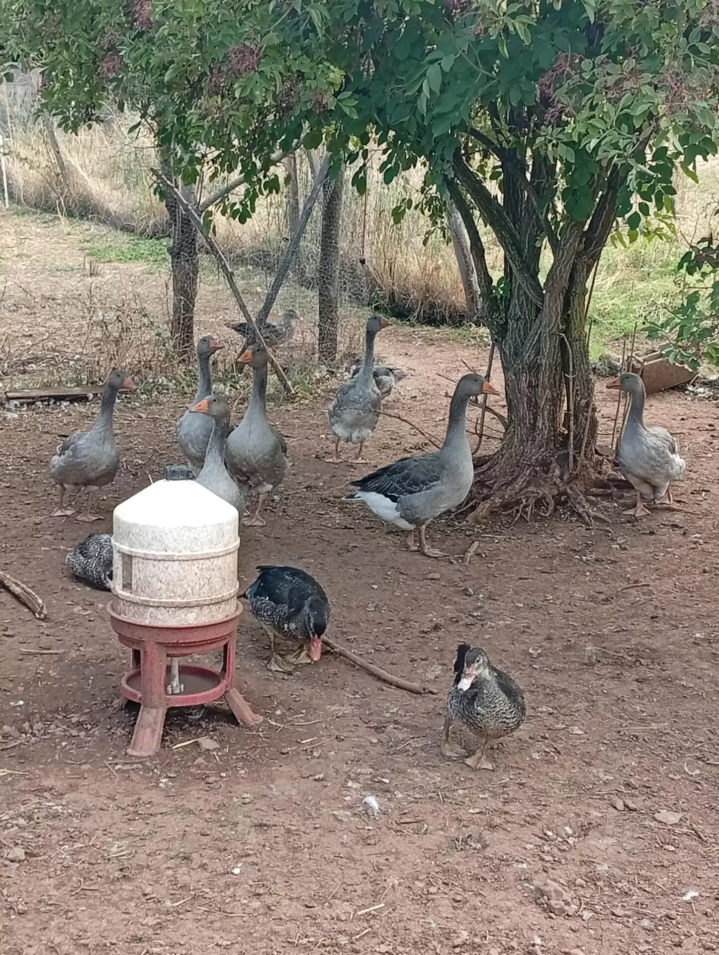 Centre de Vals Prés le Puy - Vacances - Galerie Séjour de la Terre à l'assiette