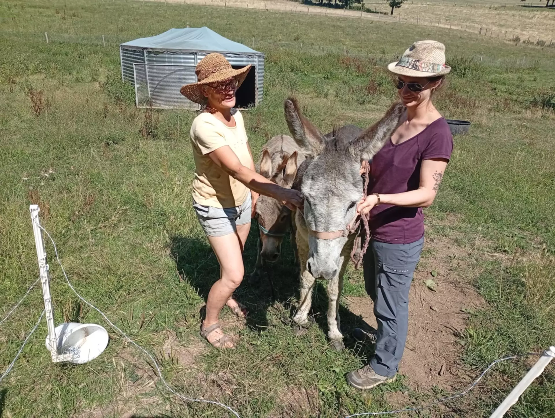 Centre de Vals Prés le Puy - Vacances - Galerie Séjour de la Terre à l'assiette