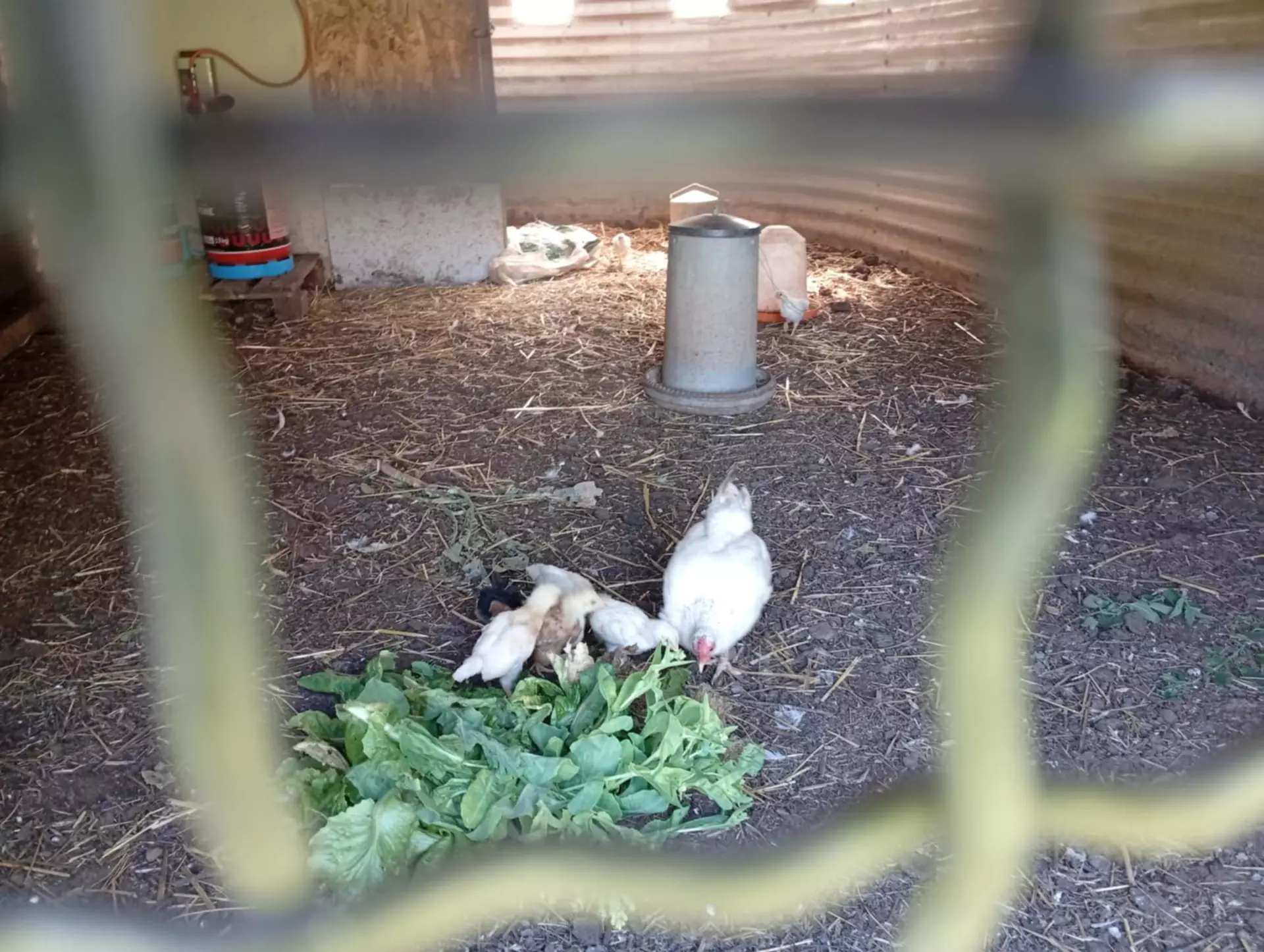 Centre de Vals Prés le Puy - Vacances - Galerie Séjour de la Terre à l'assiette