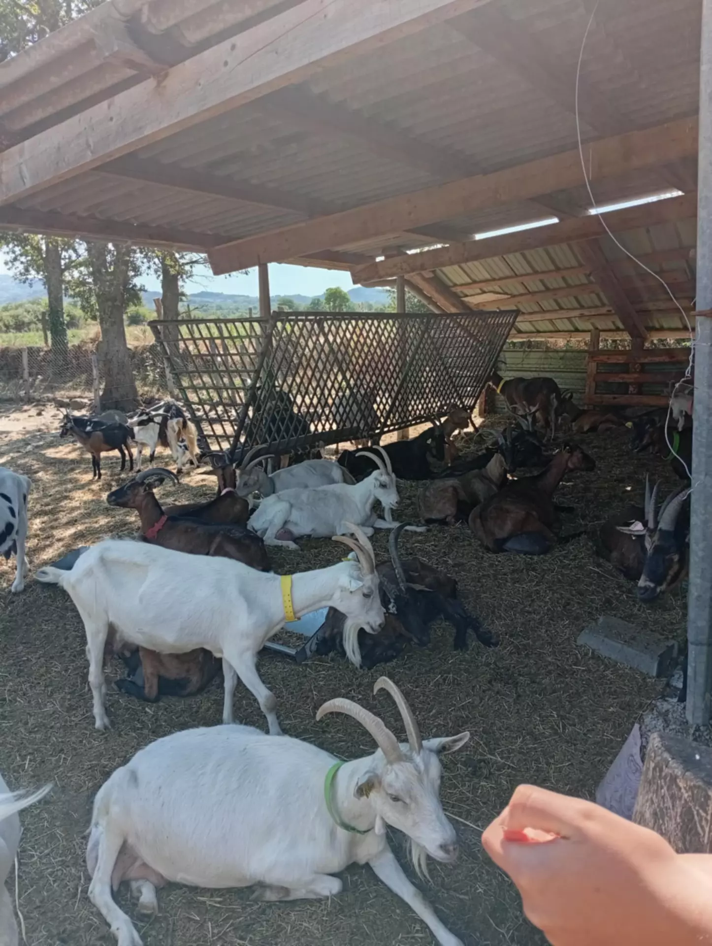 Centre de Vals Prés le Puy - Vacances - Galerie Séjour de la Terre à l'assiette