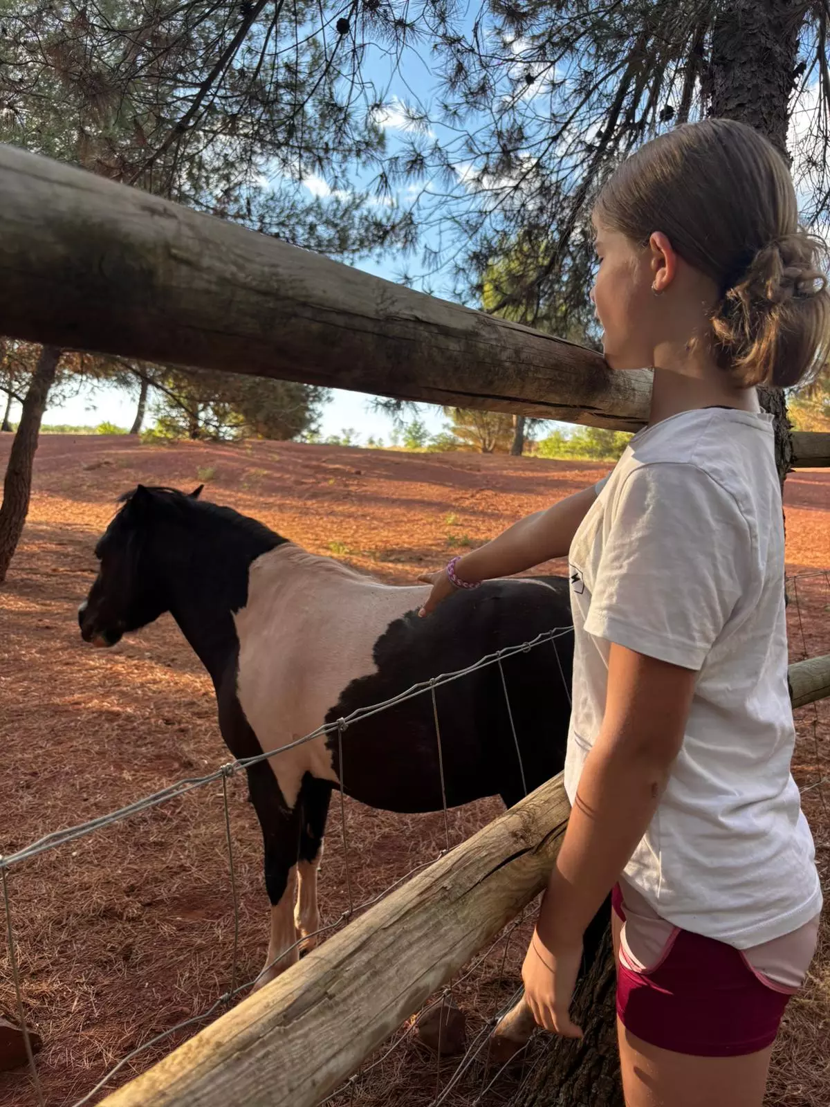 Centre de Velay Ouest (Loudes) - Vacances - Galerie Camp plage