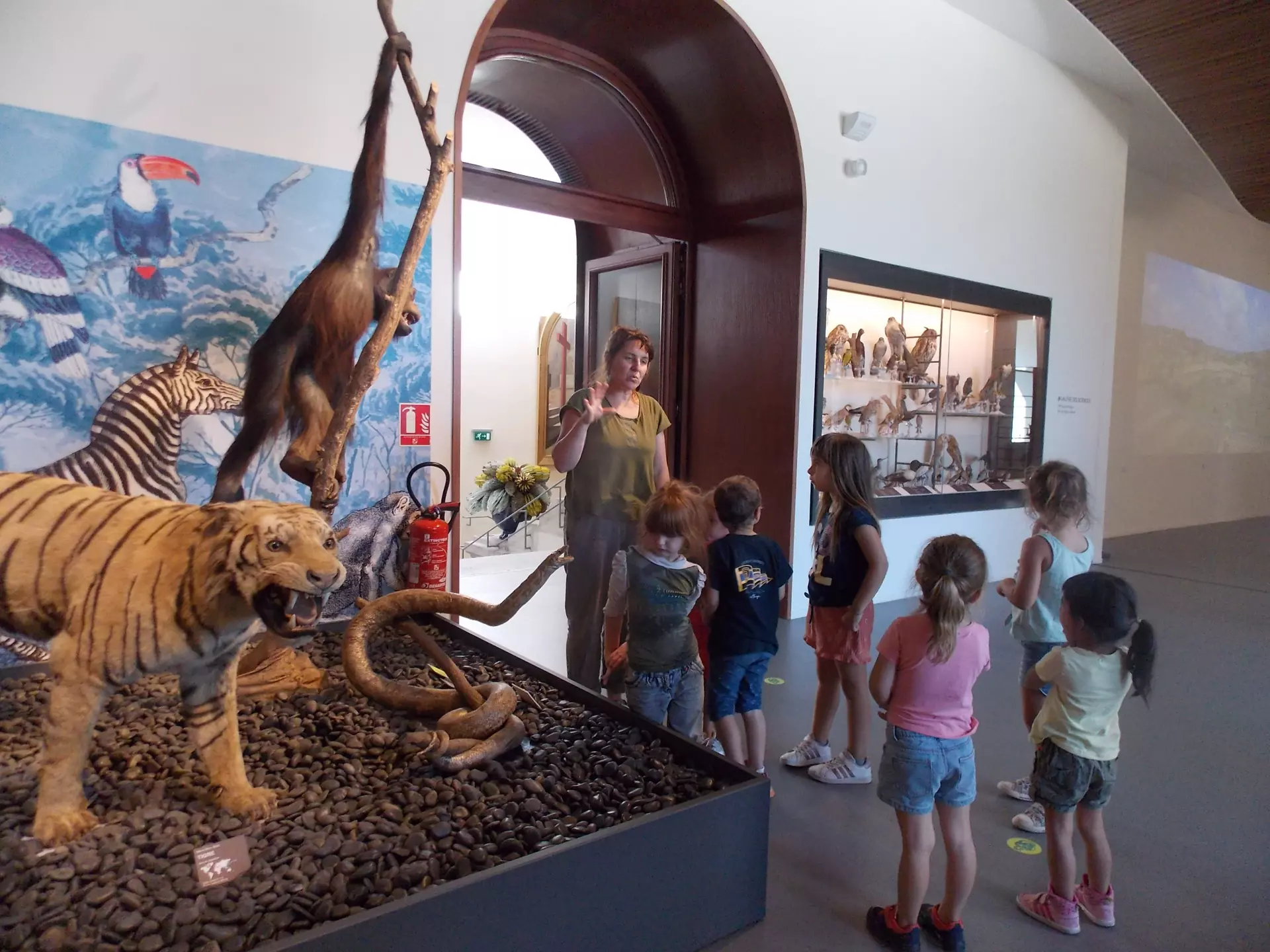 Centre de Siaugues Sainte Marie - Vacances - Galerie semaine du 1 au 5 aout "