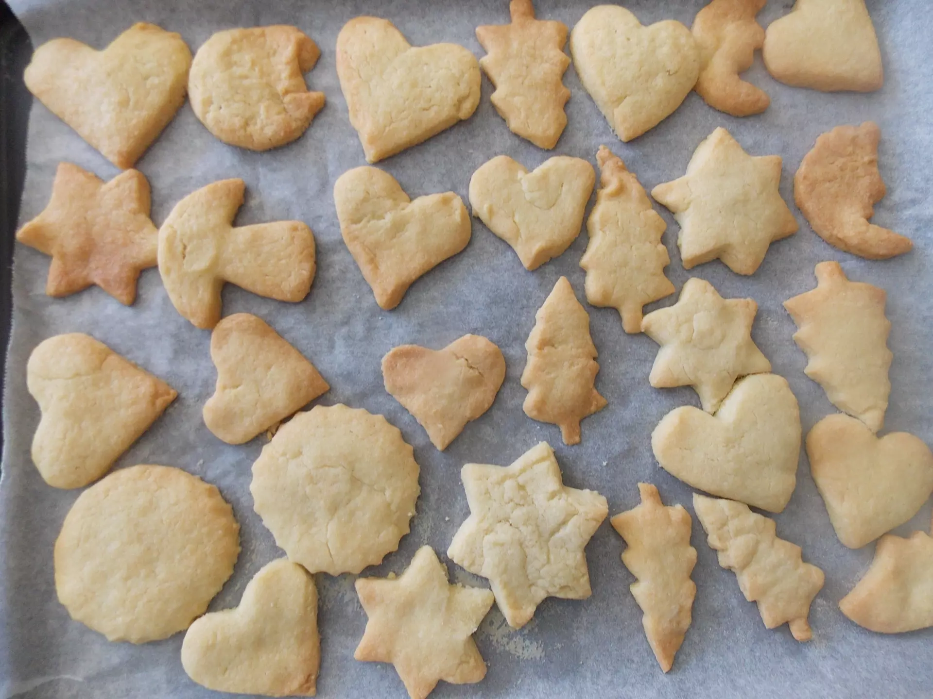 Centre de Siaugues Sainte Marie - Vacances - Galerie semaine du 25 au 29 juillet