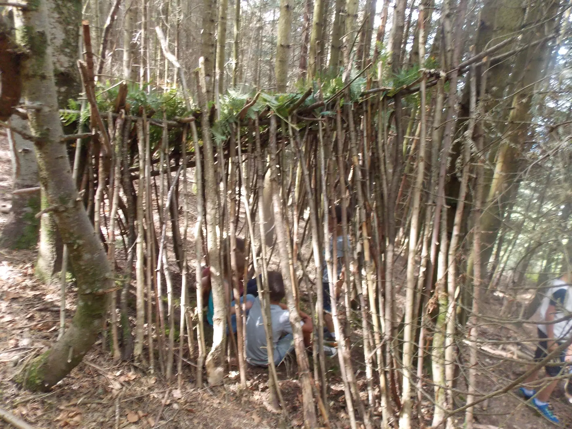 Centre de Siaugues Sainte Marie - Vacances - Galerie semaine du 25 au 29 juillet