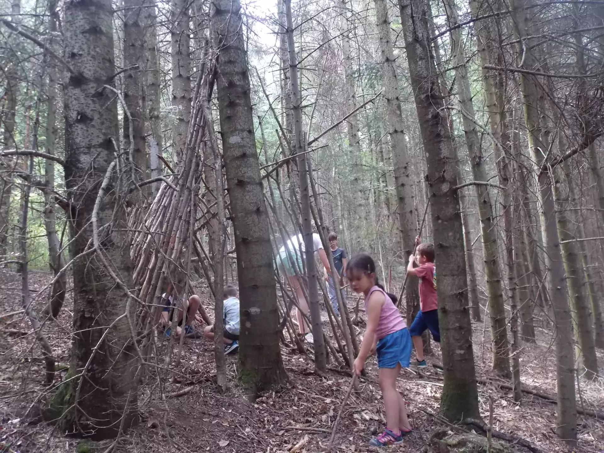 Centre de Siaugues Sainte Marie - Vacances - Galerie semaine du 25 au 29 juillet