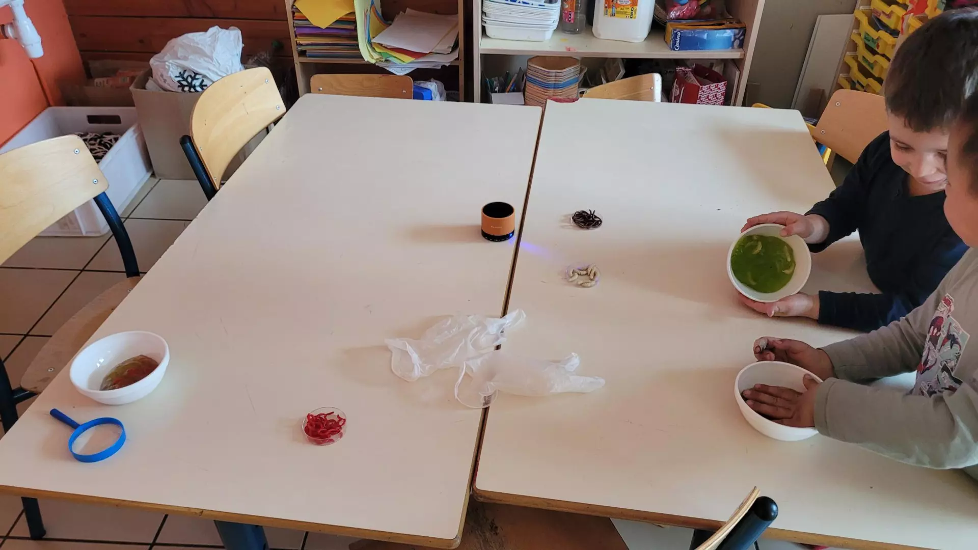 Centre de Bains & Solignac - Mercredis - Galerie Les vers de terres