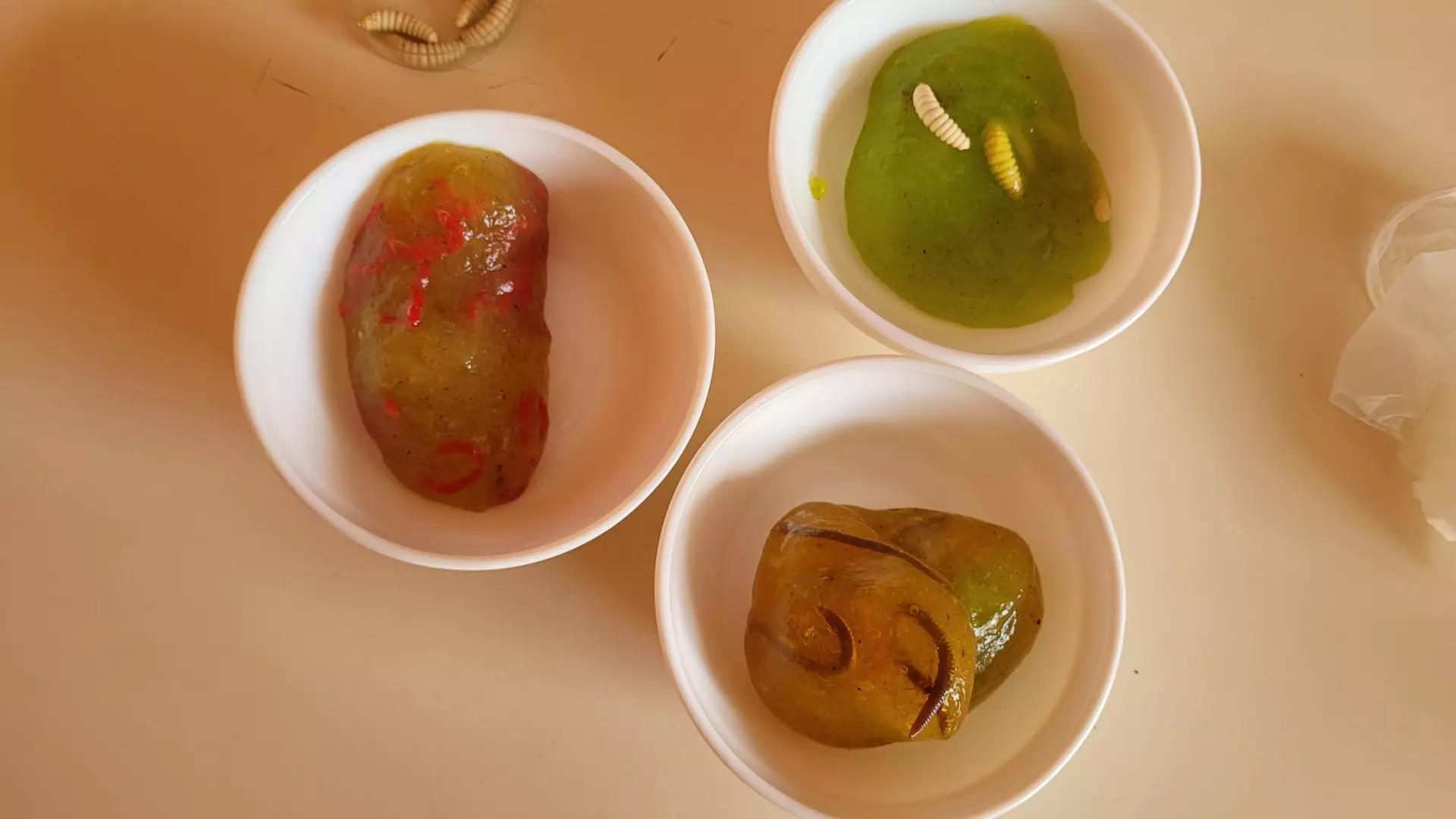 Centre de Bains & Solignac - Mercredis - Galerie Les vers de terres