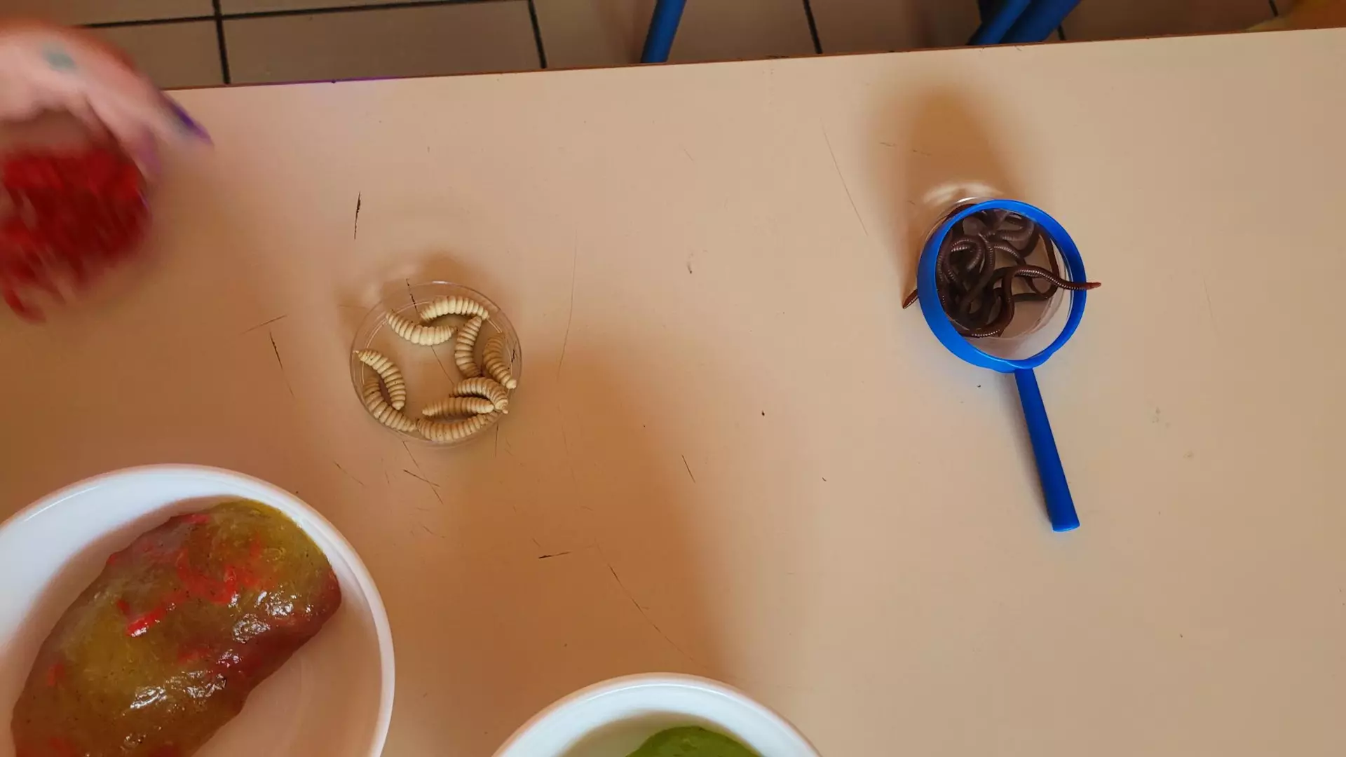 Centre de Bains & Solignac - Mercredis - Galerie Les vers de terres