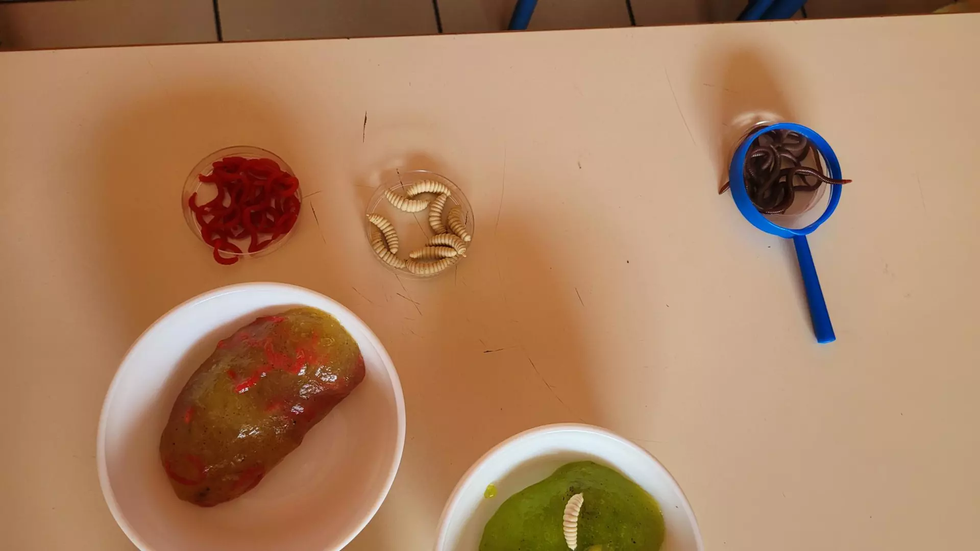 Centre de Bains & Solignac - Mercredis - Galerie Les vers de terres