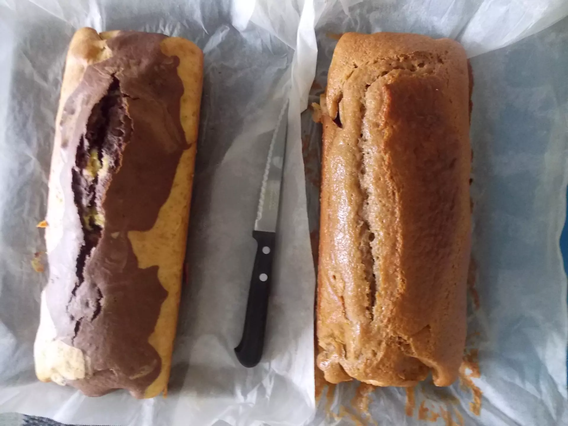 Centre de Siaugues Sainte Marie - Vacances - Galerie semaine du 25 au 29 juillet