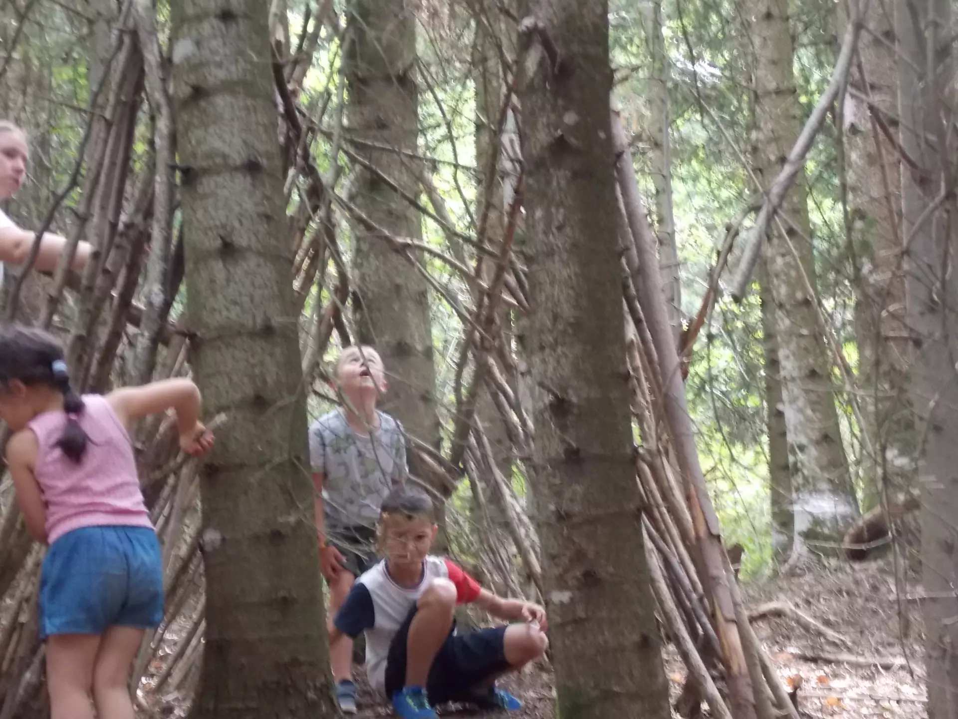 Centre de Siaugues Sainte Marie - Vacances - Galerie semaine du 25 au 29 juillet