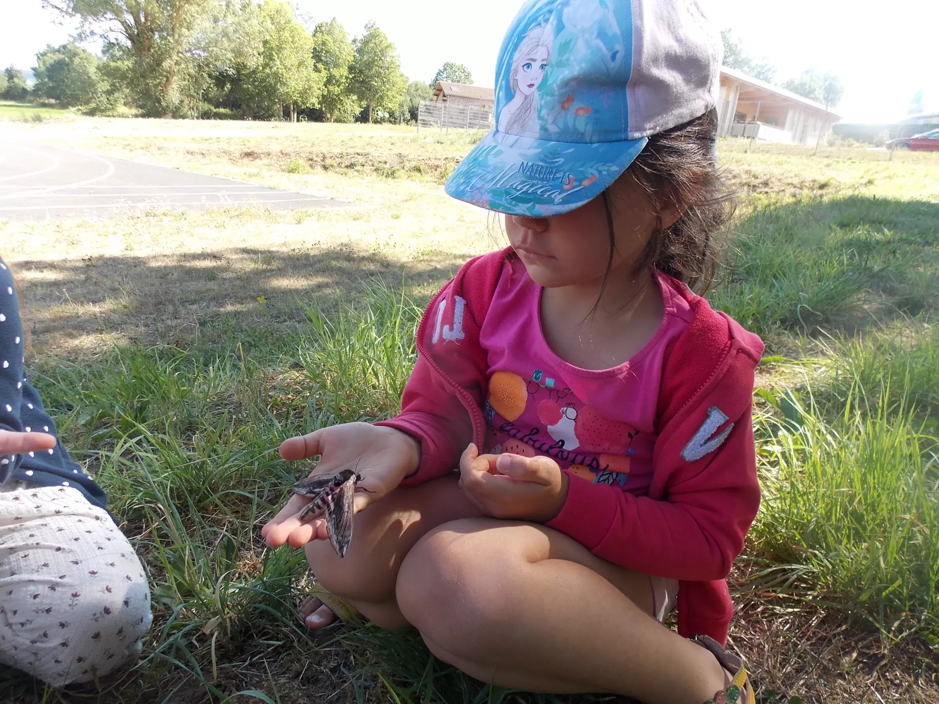 Centre de Siaugues Sainte Marie - Vacances - Galerie semaine du 25 au 29 juillet