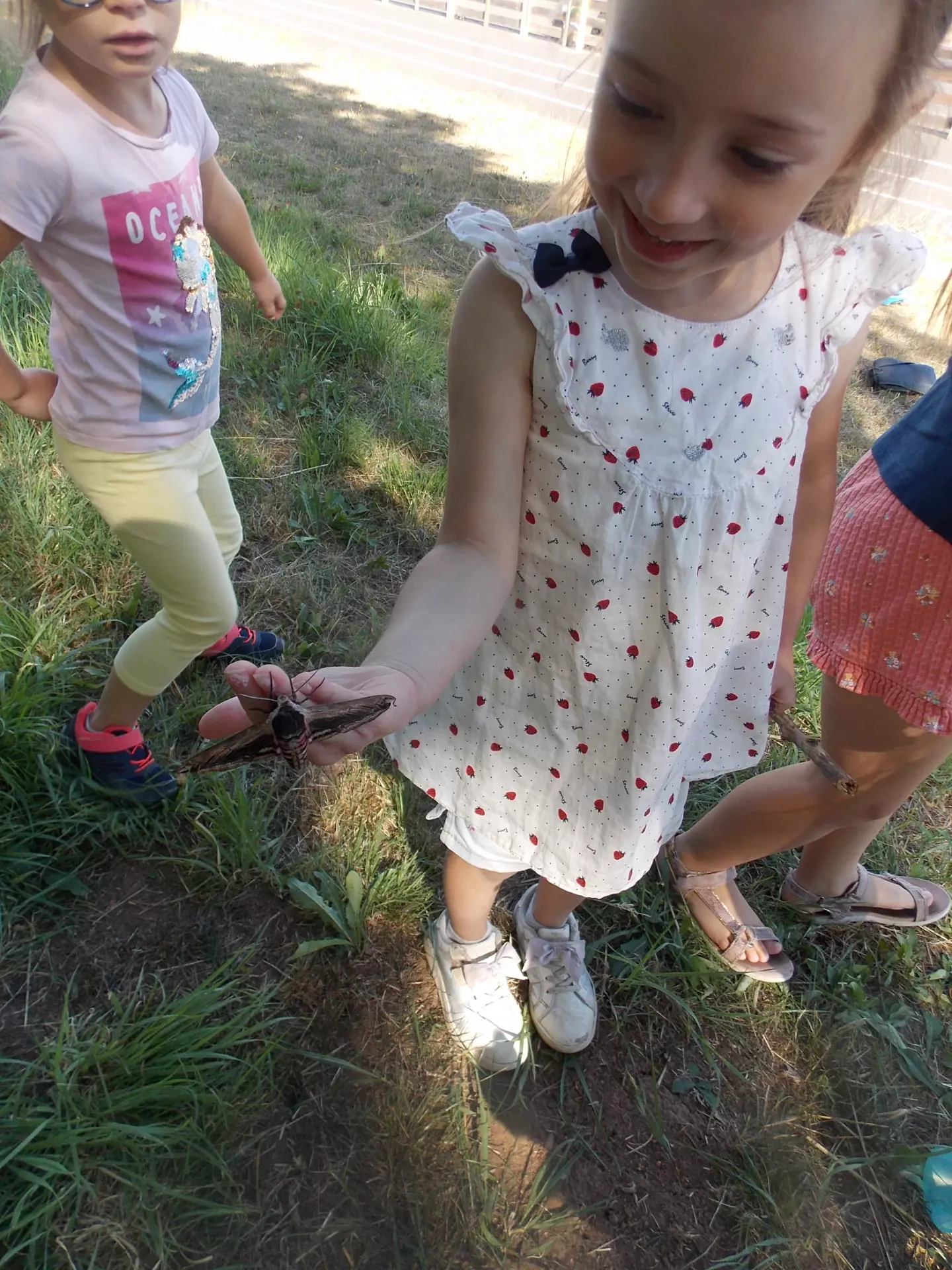 Centre de Siaugues Sainte Marie - Vacances - Galerie semaine du 25 au 29 juillet