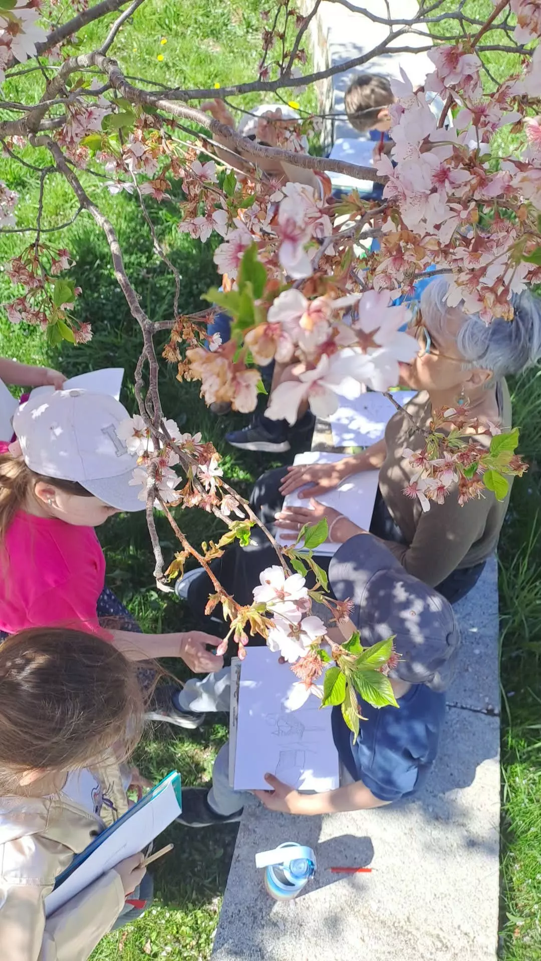 Centre de Saint Paulien - Vacances - Galerie vacances Pâques