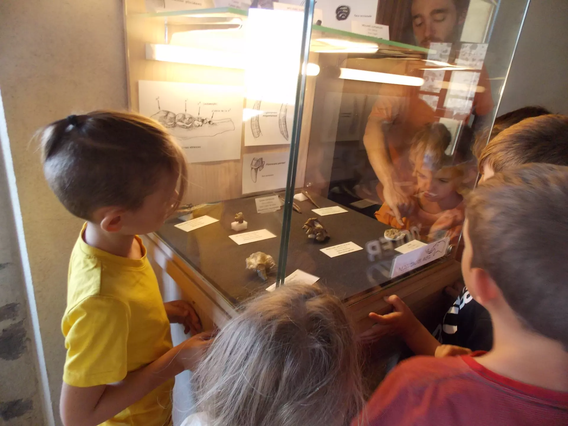 Centre de Siaugues Sainte Marie - Vacances - Galerie semaine du 25 au 29 juillet