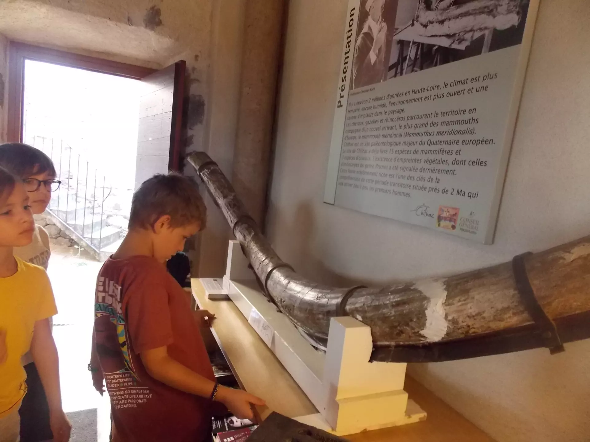 Centre de Siaugues Sainte Marie - Vacances - Galerie semaine du 25 au 29 juillet