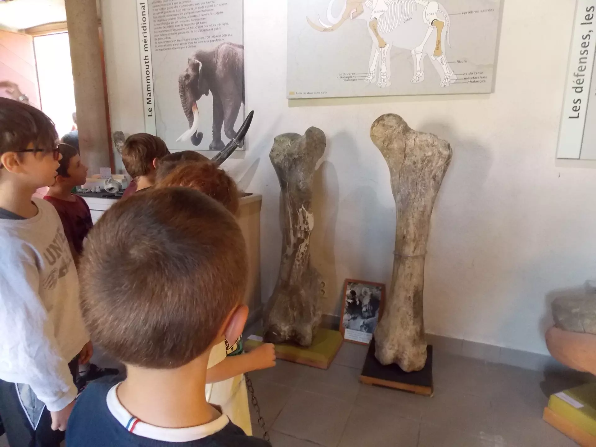 Centre de Siaugues Sainte Marie - Vacances - Galerie semaine du 25 au 29 juillet