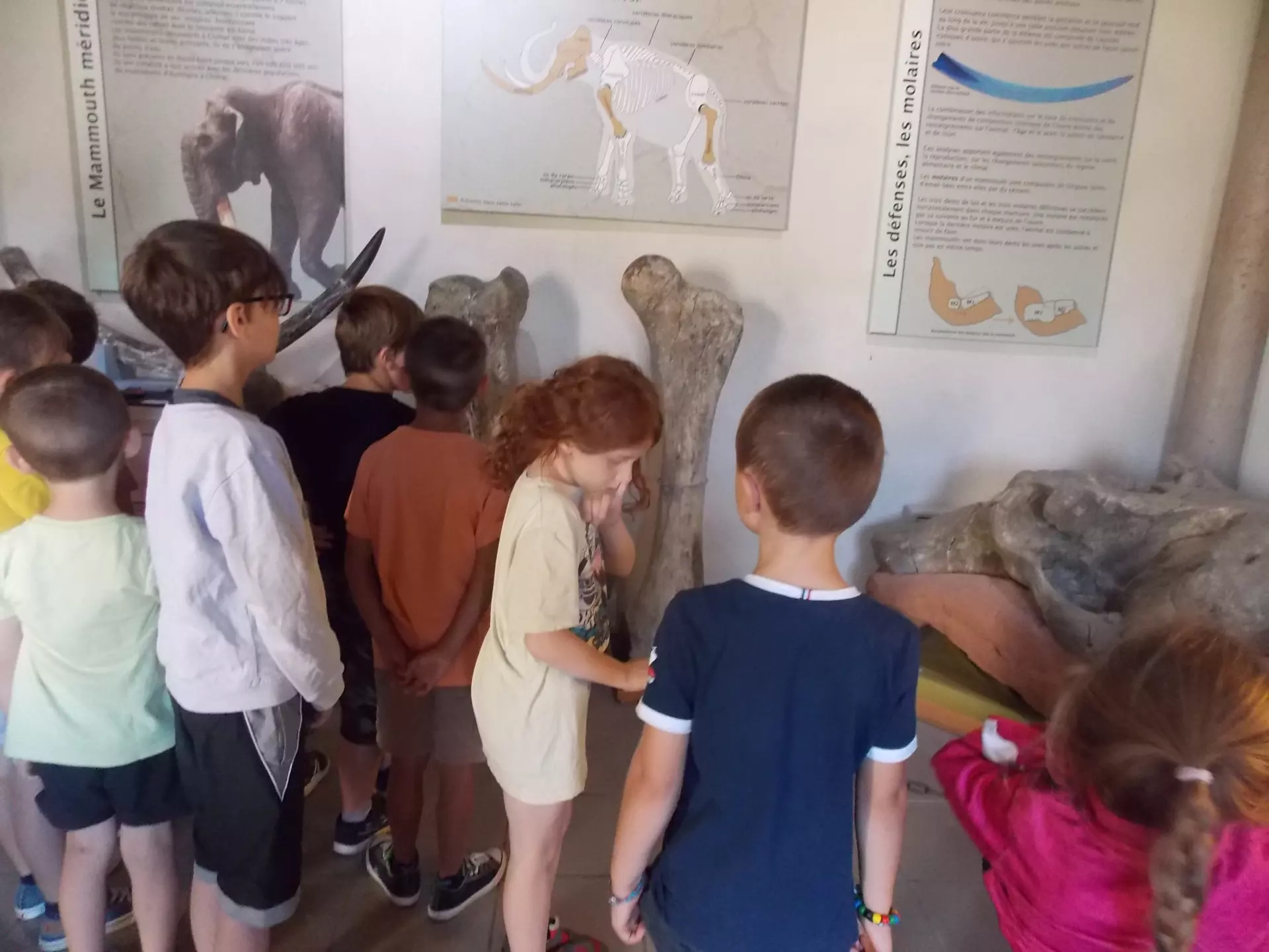 Centre de Siaugues Sainte Marie - Vacances - Galerie semaine du 25 au 29 juillet