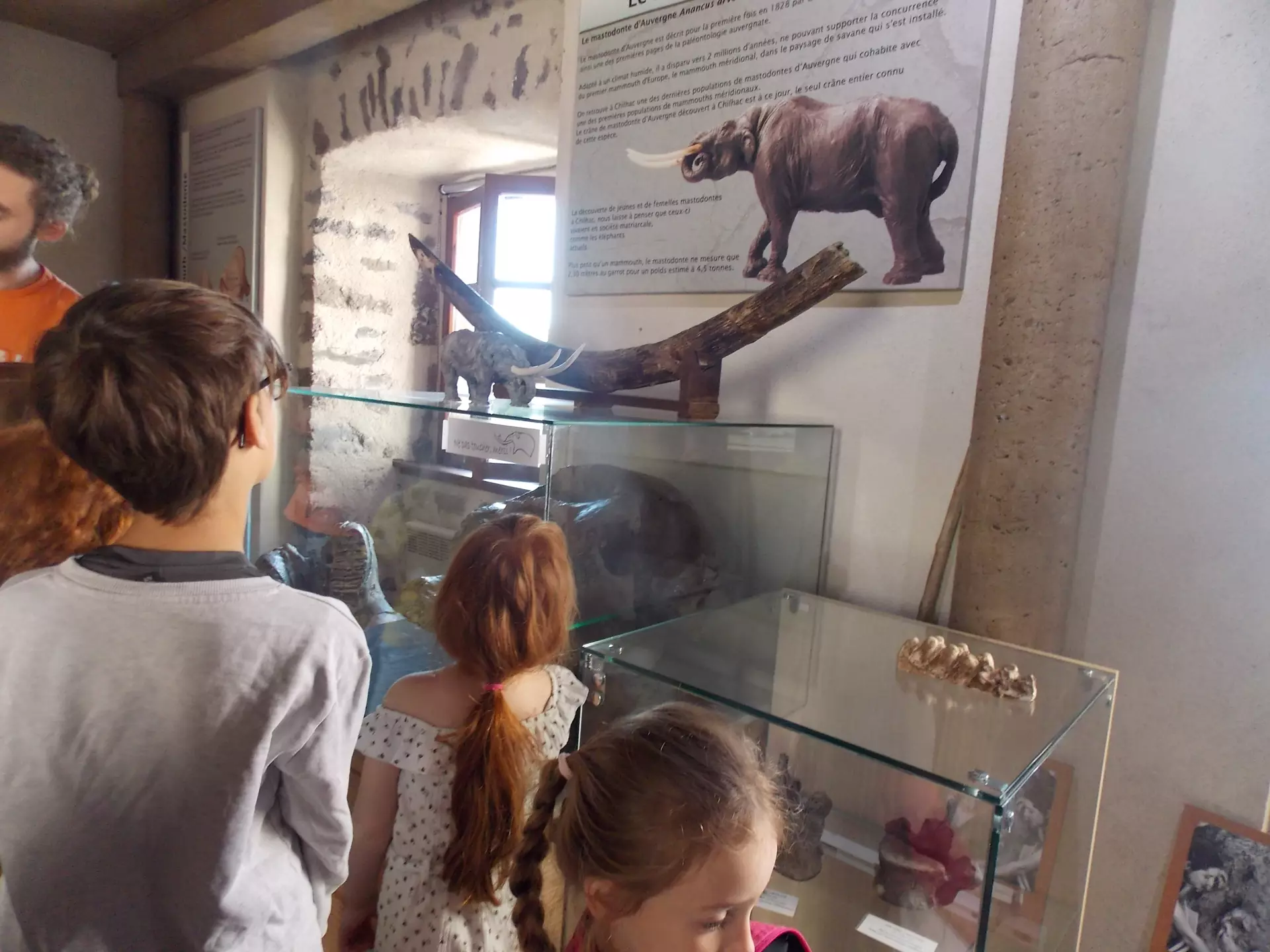 Centre de Siaugues Sainte Marie - Vacances - Galerie semaine du 25 au 29 juillet