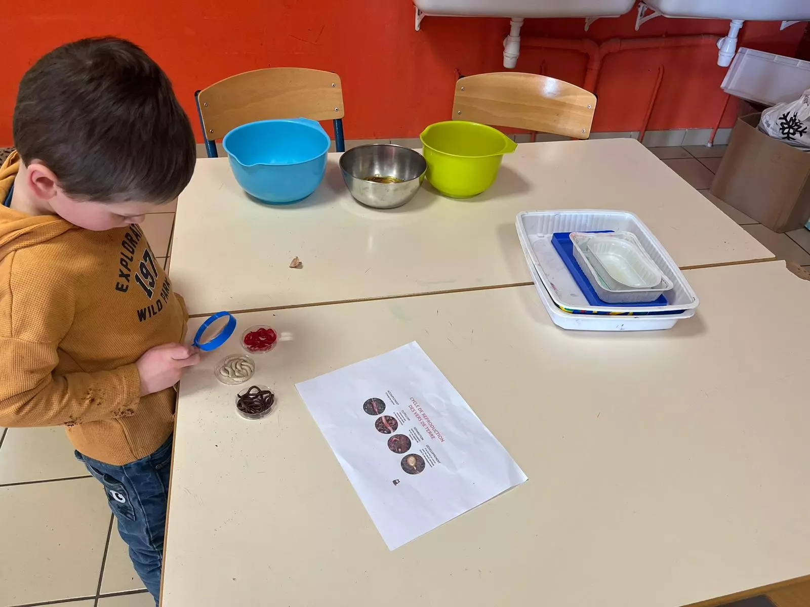 Centre de Bains & Solignac - Mercredis - Galerie Les vers de terres